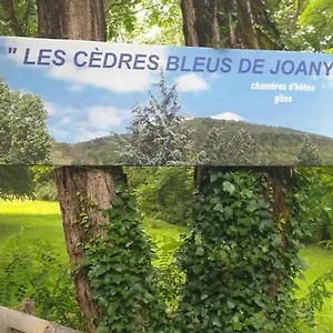  Maison d'hôtes Les Cèdres Bleus De Joany France